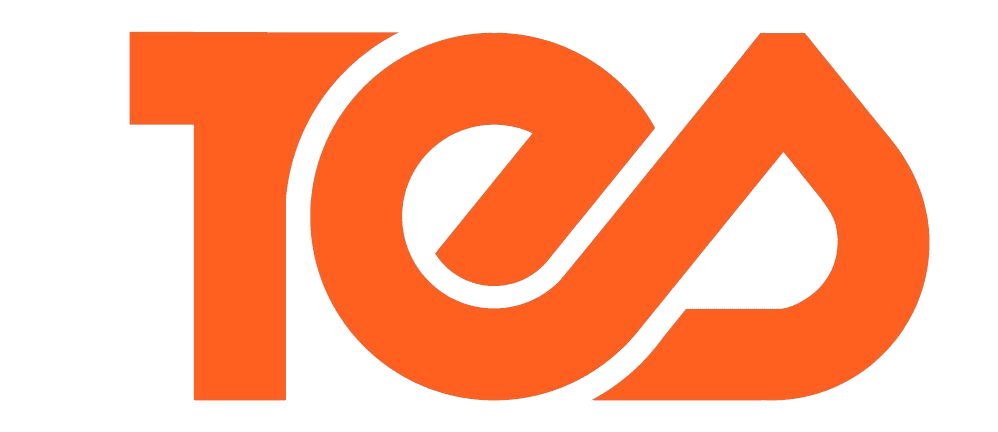 Tech Exponent System Logo